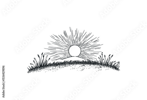 Hand-drawn sun rising over hill with grassy details and sunrays. Vector retro hand drawn illustration