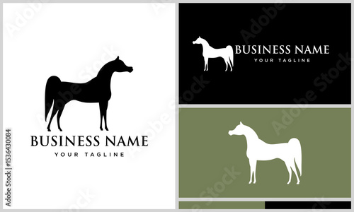 Horse Logo Design Variations. (74)