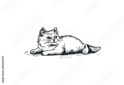 Detailed illustration of a relaxed cat lying down in a classic style. Vector retro hand drawn illustration