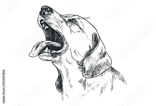 Detailed line art of a yawning dog with mouth open and tongue out. Vector retro hand drawn illustration