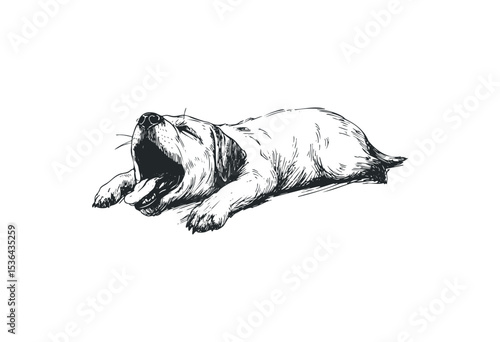 Sketch of a yawning puppy in a sleeping position. Vector retro hand drawn illustration