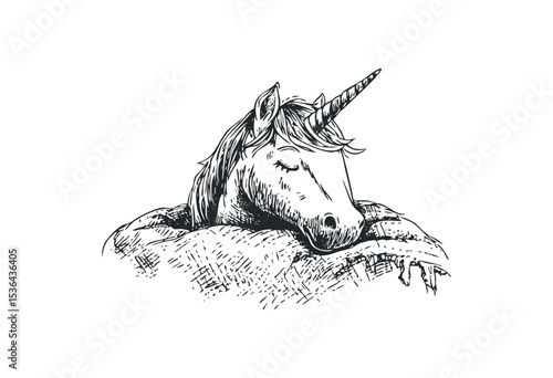 Sleeping unicorn sketch with detailed line art and soft expressions. Vector retro hand drawn illustration