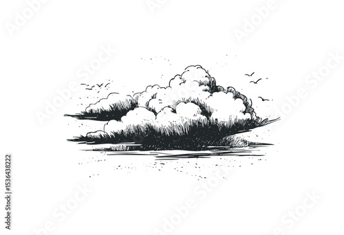 Detailed cloud drawing with birds flying in sky. Vector retro hand drawn illustration