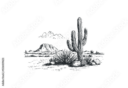 Desert landscape with cactus and rocky mountain drawing. Vector retro hand drawn illustration