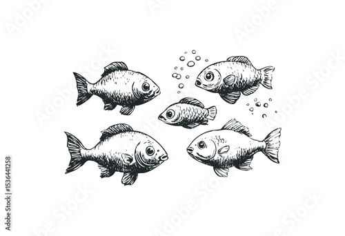 Hand-drawn fish sketch of five cartoon fish with bubbles. Vector retro hand drawn illustration