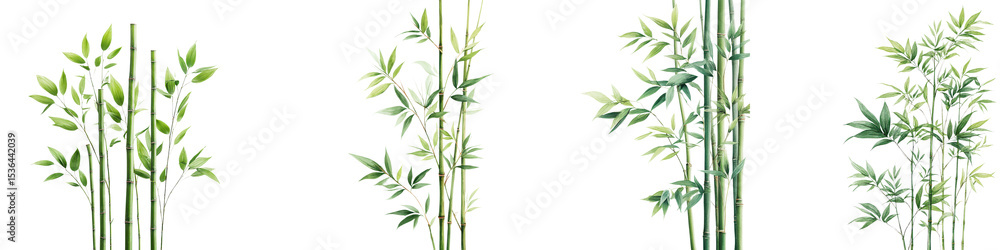 Fototapeta premium Lush bamboo plants in a natural setting