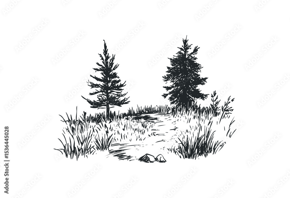 Fototapeta premium Hand-drawn forest scene with pine trees and grass on a white background. Vector retro hand drawn illustration