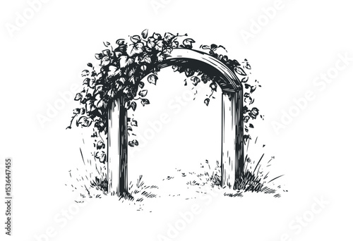 Wooden garden trellis with climbing ivy illustration. Vector retro hand drawn illustration
