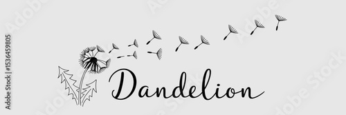 Dandelion flower releasing seeds in delicate linework on white background