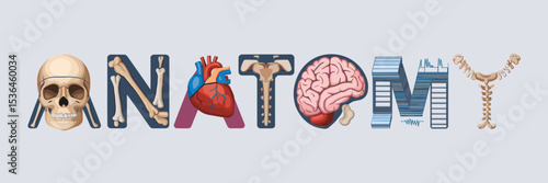 Anatomy text made of skull, heart, brain, and spine – Ideal for medical textbooks, health infographics, or biology education