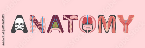 Anatomy text made from organs, bones, muscles, and blood vessels – Ideal for educational materials, medical branding, or anatomy-themed designs