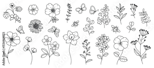 Hand drawn botanical flower line art vector set. Collection black white contour drawing of foliage, wildflower, eucalyptus, butterfly, bee. Illustration design for logo, wedding, invitation, decor. 