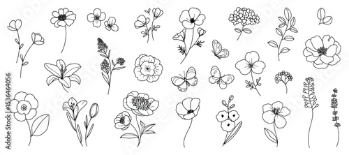 Hand drawn botanical flower line art vector set. Collection black white contour drawing of foliage, wildflower, eucalyptus, butterfly. Illustration design for logo, wedding, invitation, decor. 