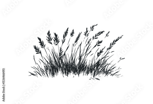 Silhouette of wild grass blades in minimalist design. Vector retro hand drawn illustration