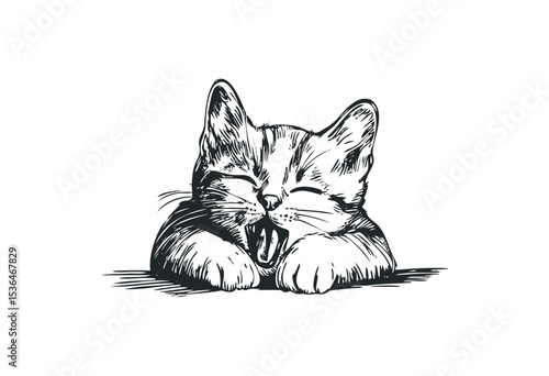 Yawning cat sketch in black and white. Vector retro hand drawn illustration