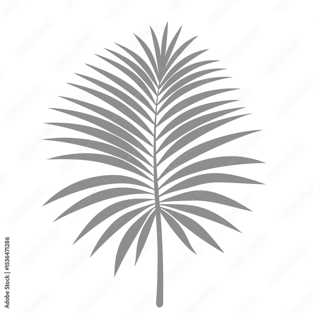 Obraz premium Palm Leave Illustration