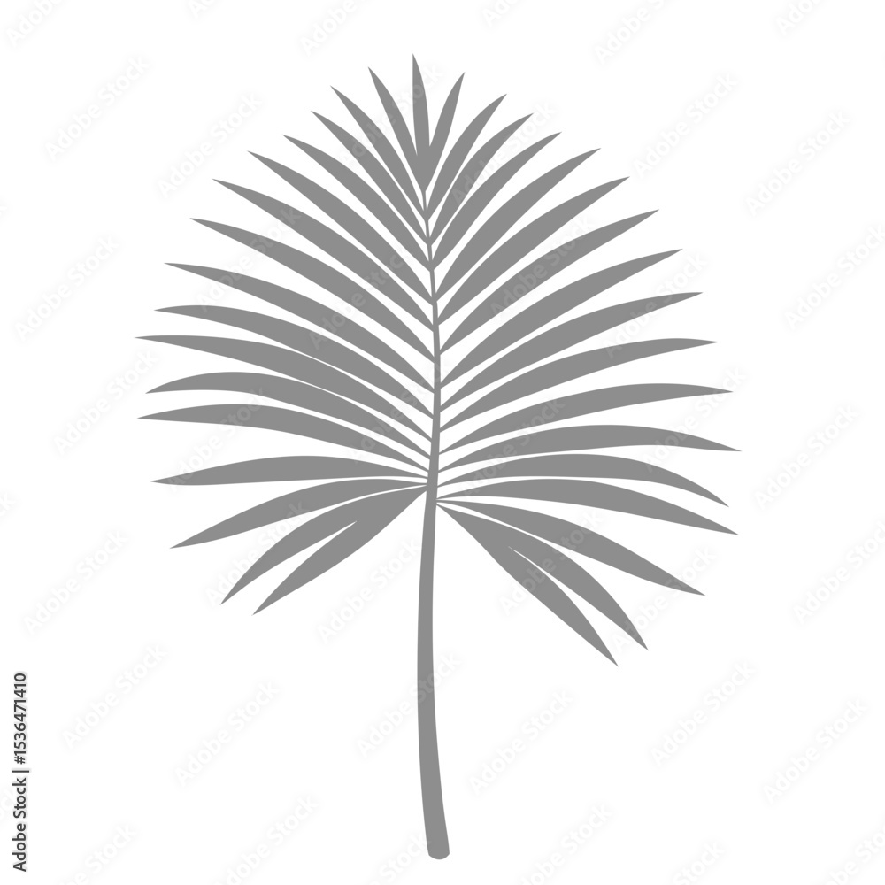 Obraz premium Palm Leave Illustration