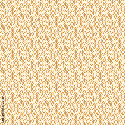 Beautiful organic Geometric Pattern Design