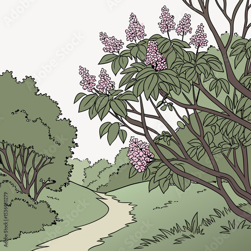 a lot of lilac bush branches thicket