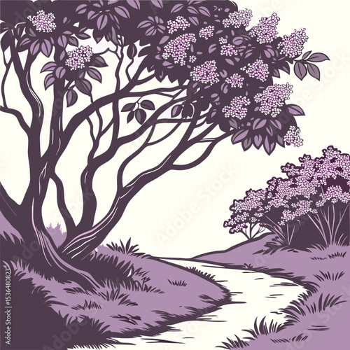a lot of lilac bush branches thicket