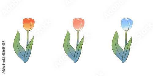 Trio of Gradient Tulips