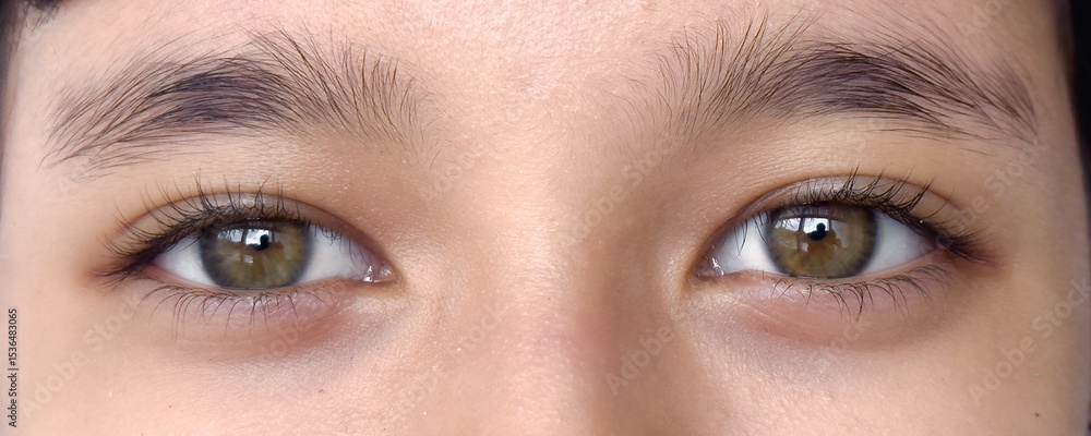 Obraz premium Close-up macro of a woman's beautiful brown eye, highlighting her iris, eyelashes, and natural skin, with a captivating look