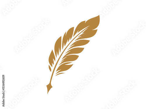 Feather Vector,  Elegant Golden Design