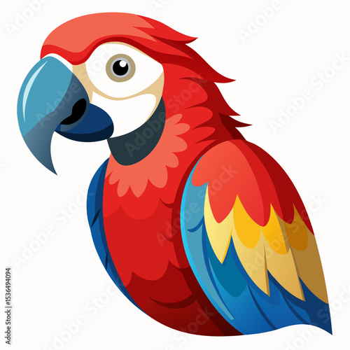 blue and yellow macaw