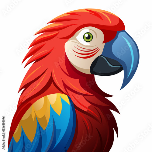 blue and yellow macaw