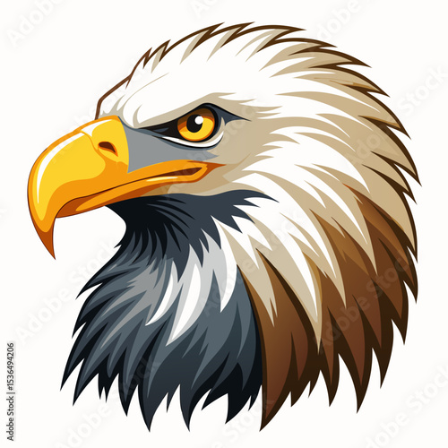 american bald eagle