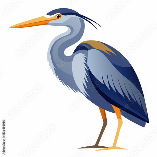 great blue heron