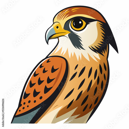 bird of prey