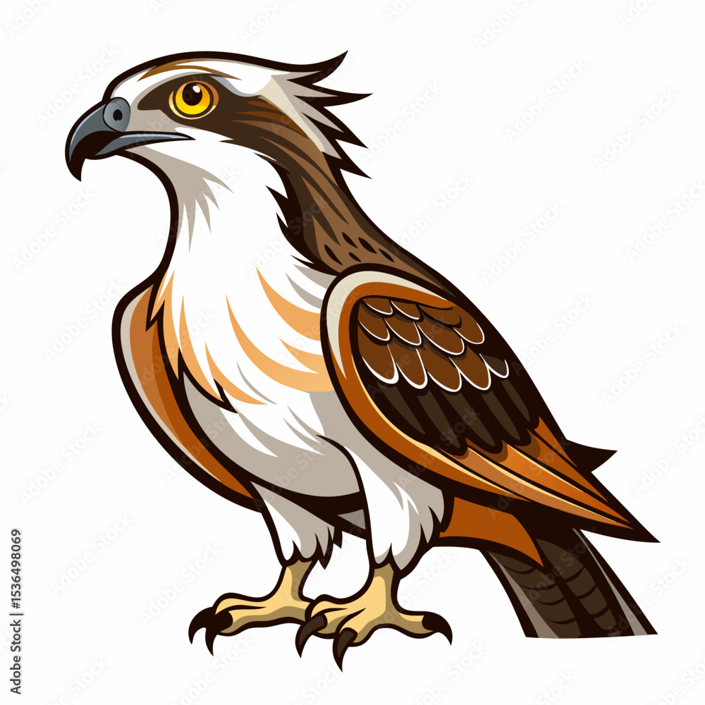 Obraz premium eagle on white background