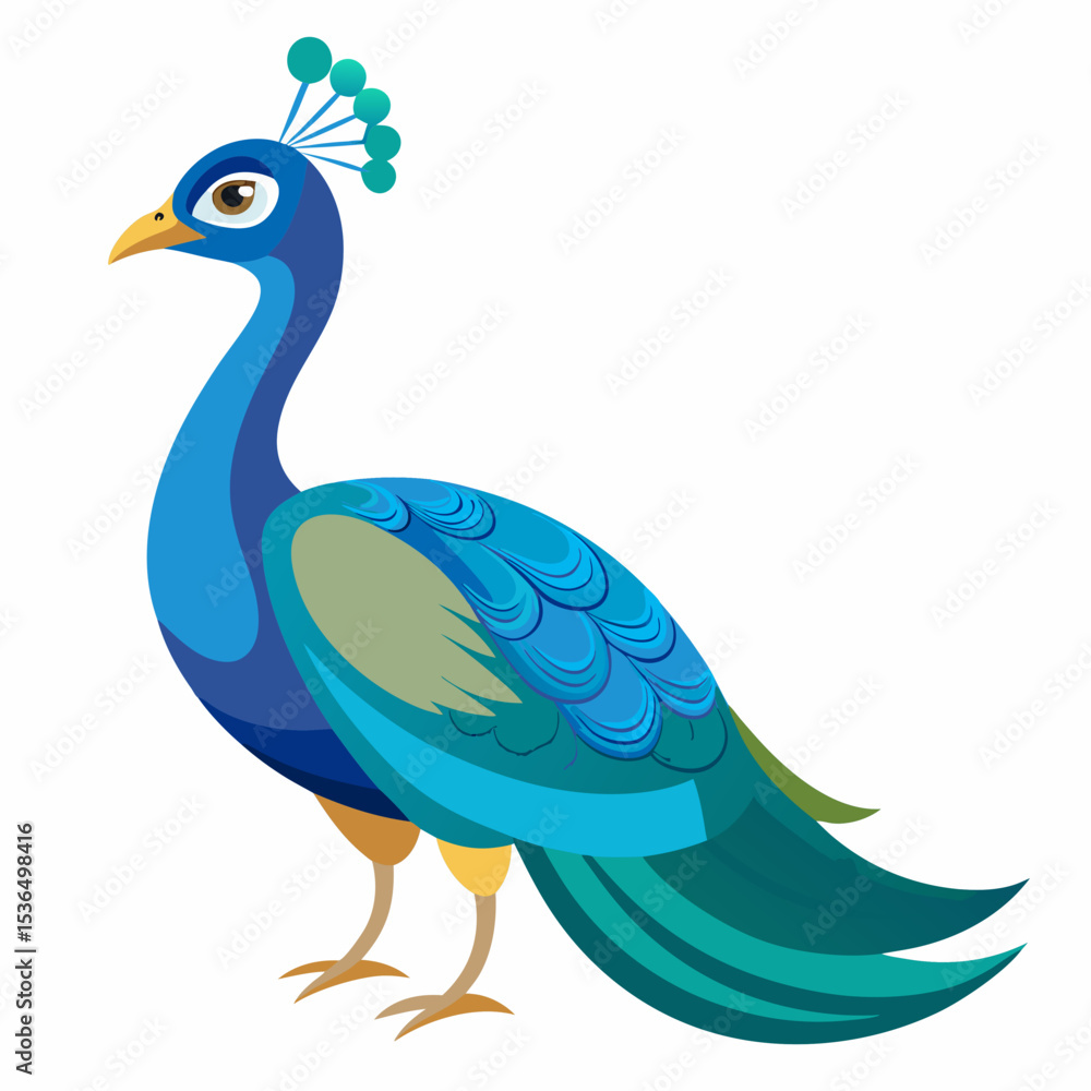 Fototapeta premium peacock vector illustration