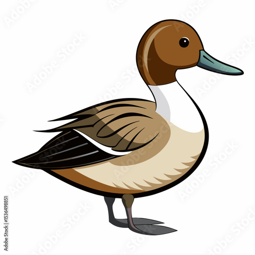 female mallard duck