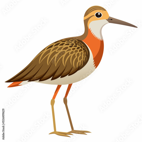 red billed stork