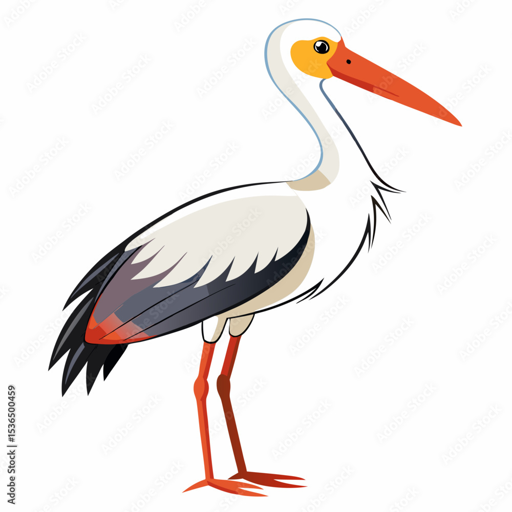Obraz premium white stork ciconia