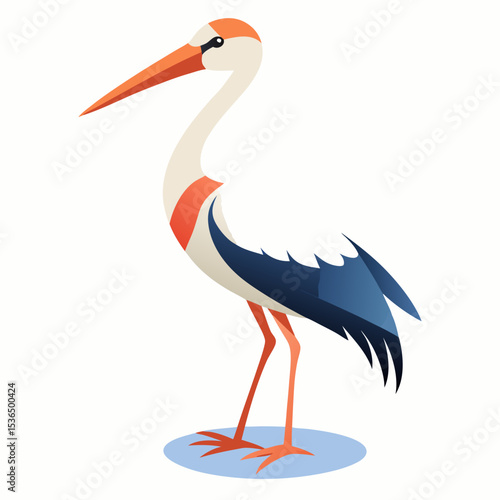 white stork ciconia