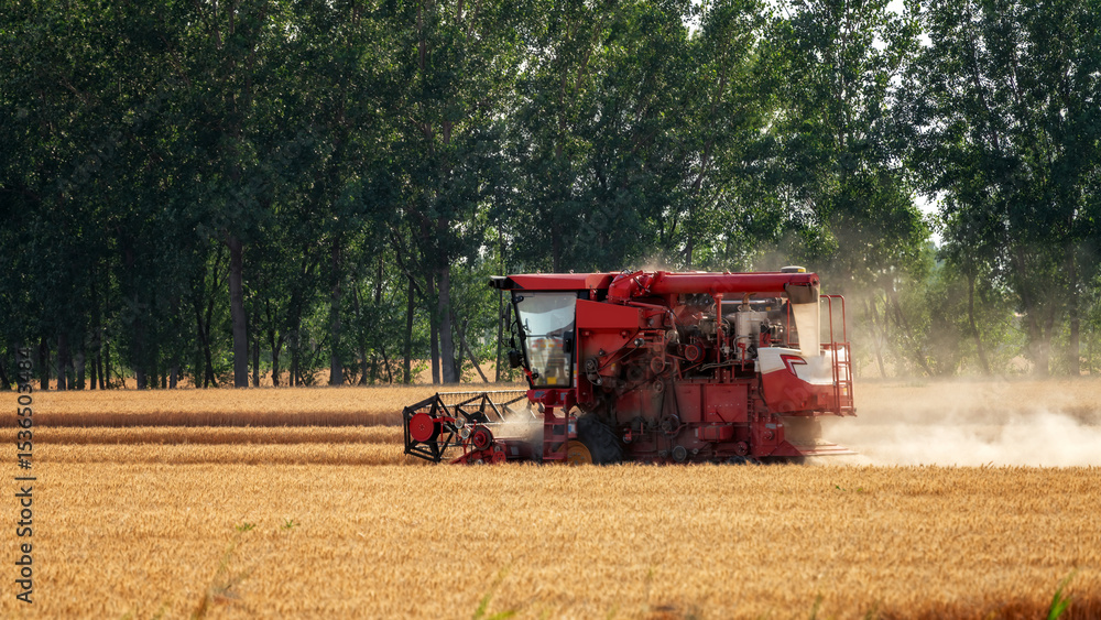 Fototapeta premium Modern Wheat Harvester in a Field
