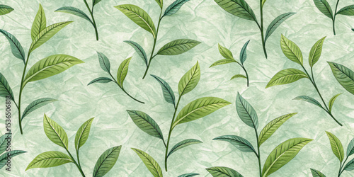 Green tea leaves pattern on a soft textured background  