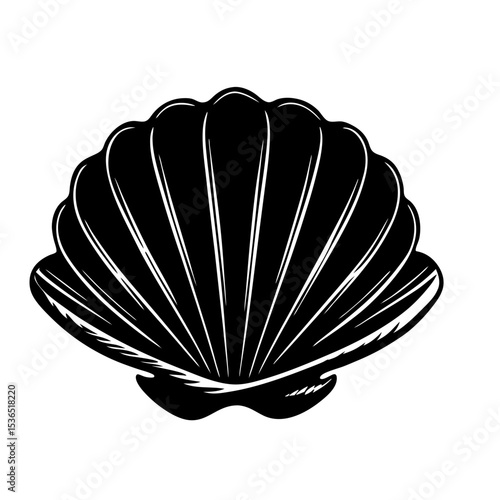 Clamshell Shilhouette Illustration