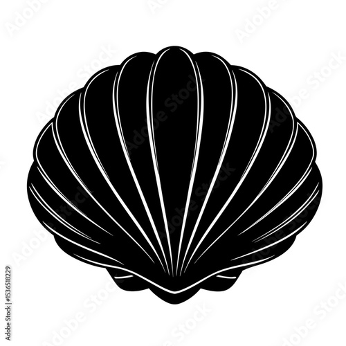 Clamshell Shilhouette Illustration