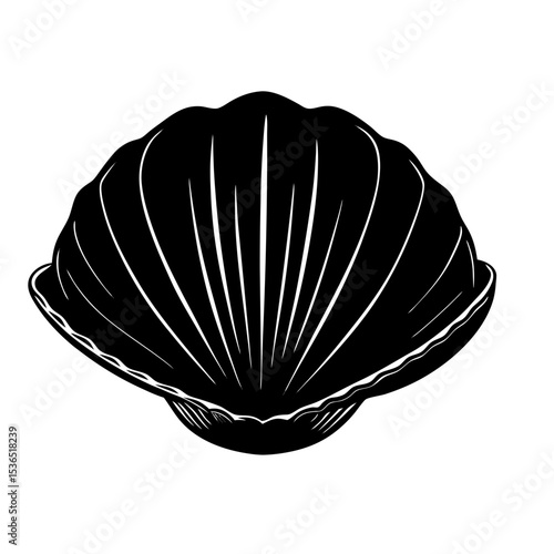 Clamshell Shilhouette Illustration
