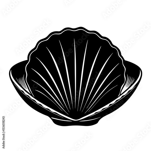 Clamshell Shilhouette Illustration