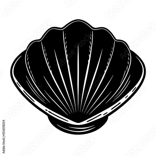 Clamshell Shilhouette Illustration