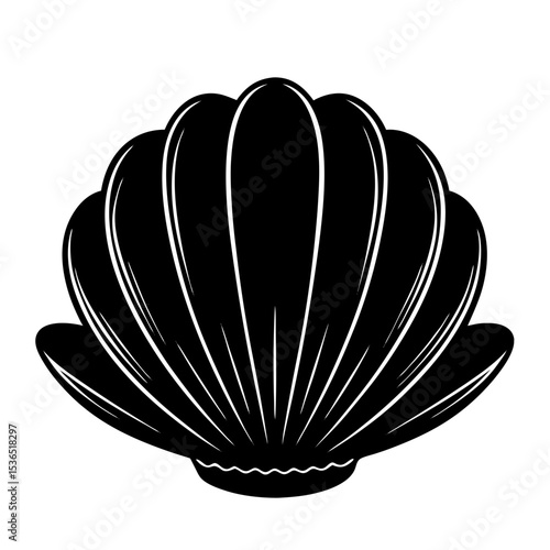 Clamshell Shilhouette Illustration