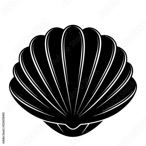 Clamshell Shilhouette Illustration