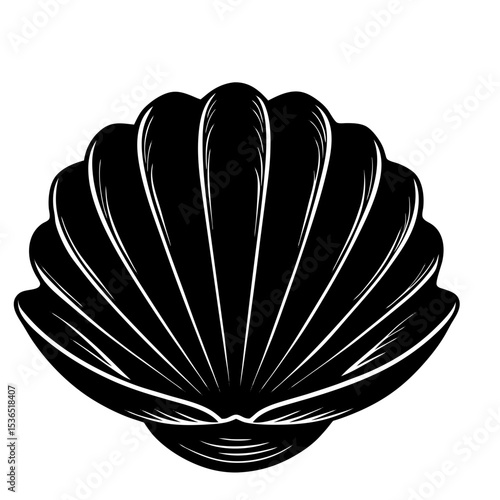Clamshell Shilhouette Illustration