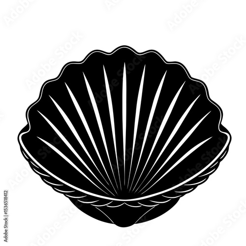 Clamshell Shilhouette Illustration