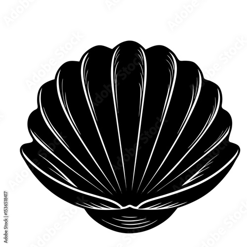 Clamshell Shilhouette Illustration